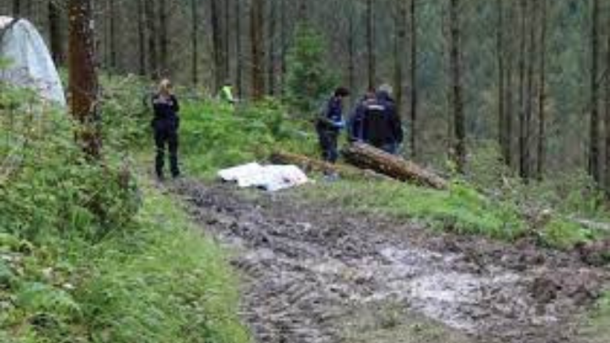 Nuevo accidente laboral mortal en el sector forestal