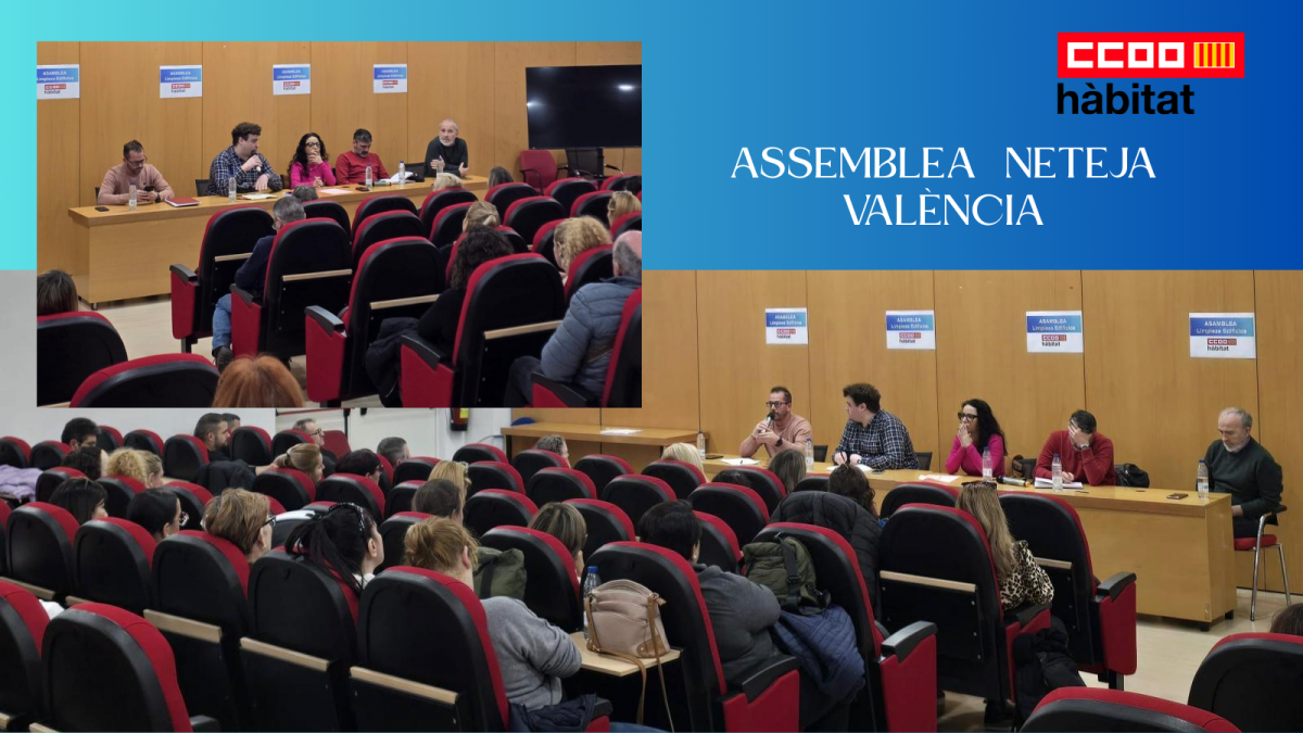 Assemblea Neteja de València