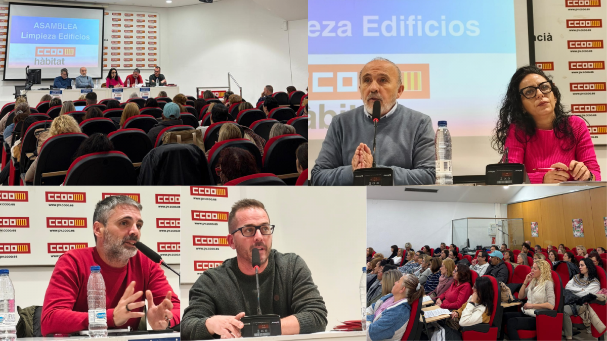 Assemblea de Neteja de la Província de València