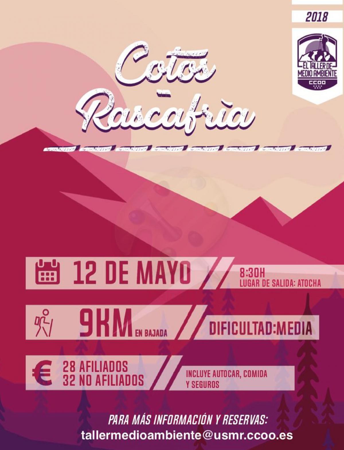 Taller de Medio Ambiente del día 12 de mayo de 2018