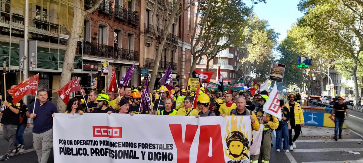 Manifestación BBFF2 octubre 25