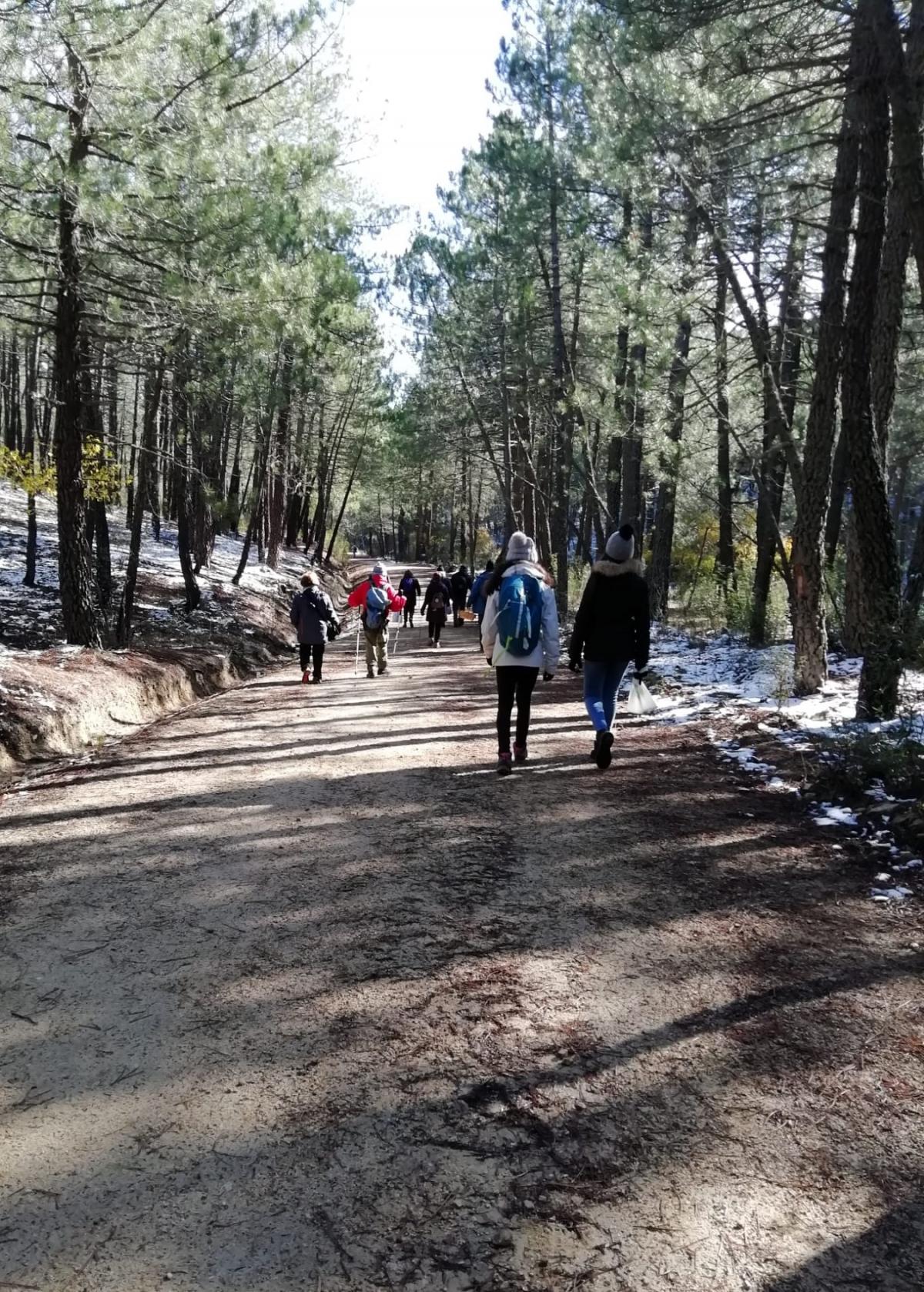 El Taller de Medio Ambiente de CCOO recorrió el paraje de La Jarosa en plena Sierra de Guadarrama