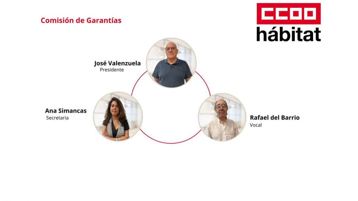 Comisin de Garantas