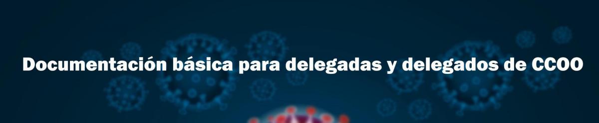 Información para delegados y delegadas de CCOO