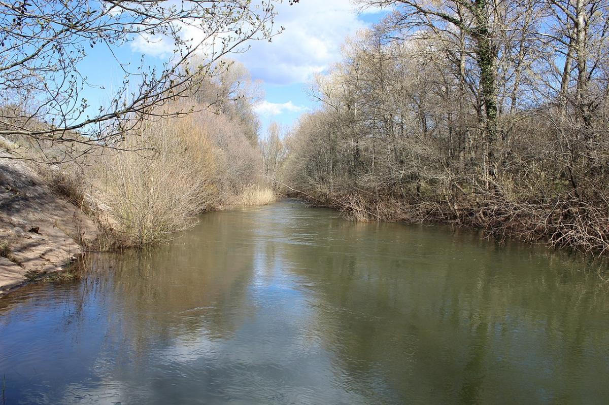 Rio Jarama