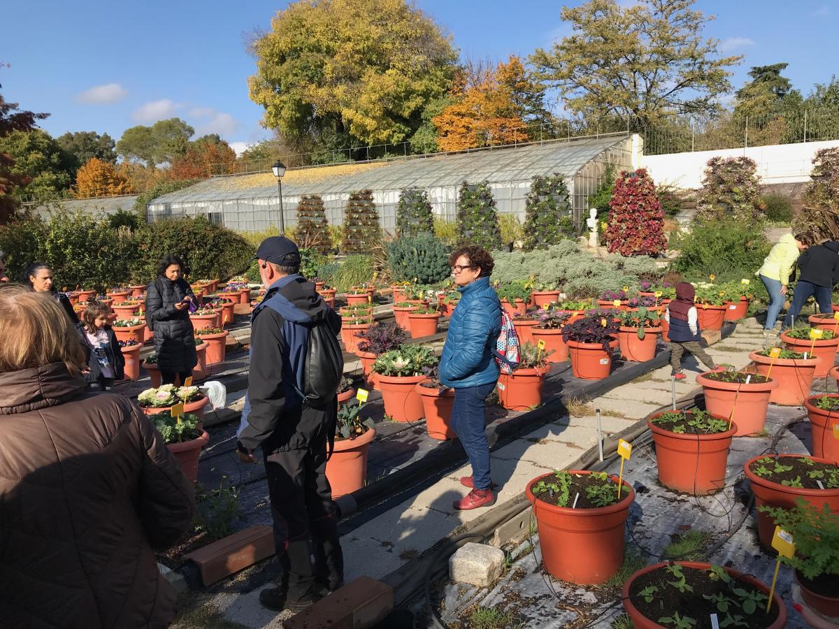El Taller de Medio Ambiente visita los Viveros del Retiro y el Jardín Botánico