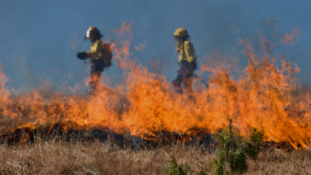Acuerdo para el operativo de lucha contra incendios forestales en Castilla y León