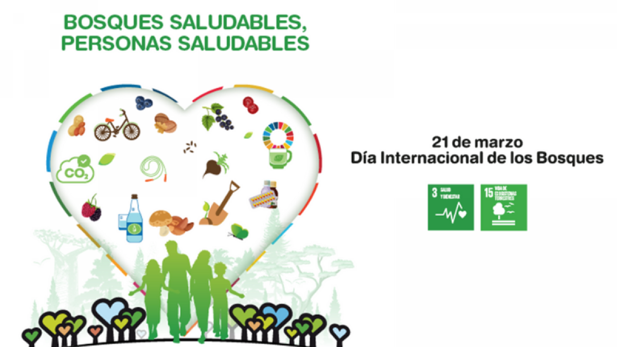 CCOO del Hbitat se suma a la celebracin del Da Internacional de los Bosques y reivindica la inmediata aprobacin de la Ley Bsica de las y los Bomberos Forestales