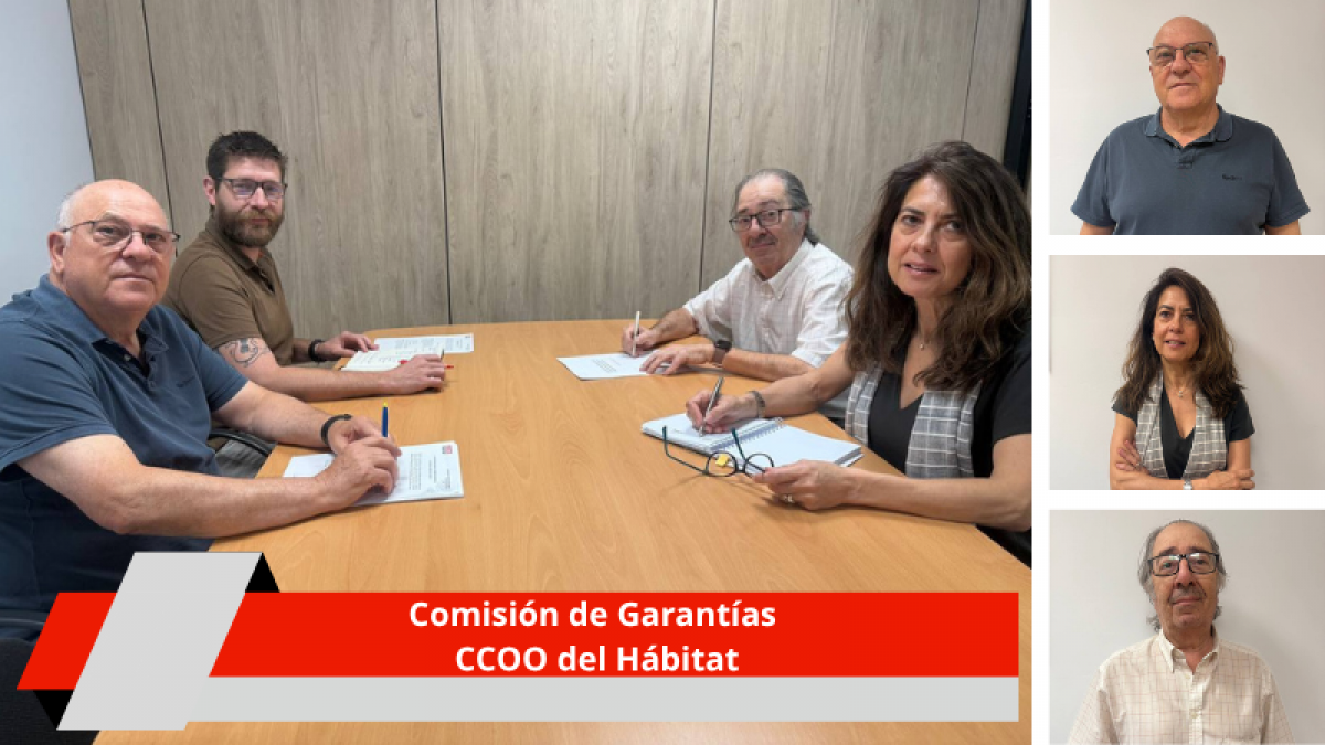 Constituida la Comisin de Garantas de CCOO del Hbitat