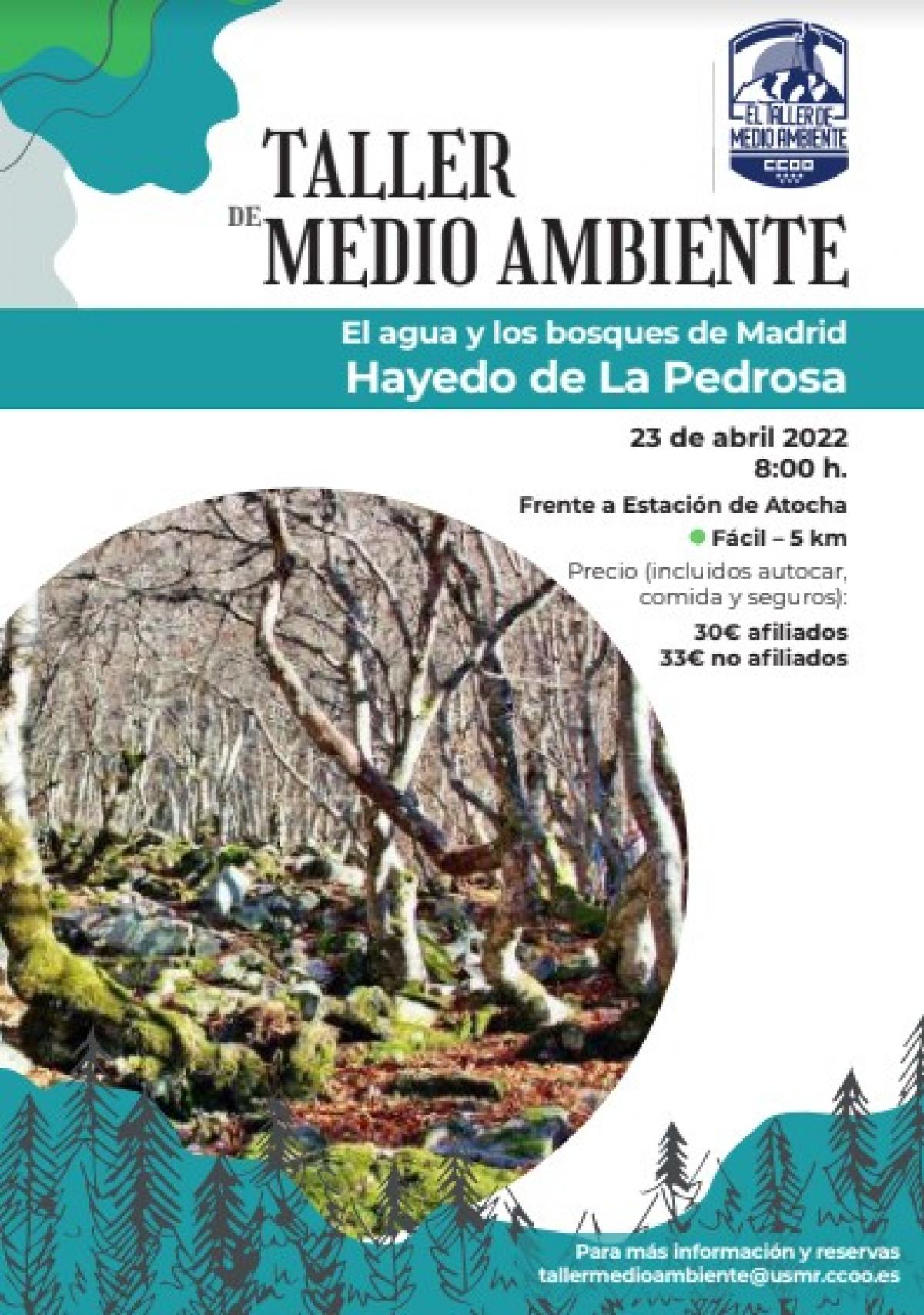 El Hayedo de la Pedrosa: aguas y bosques de Madrid