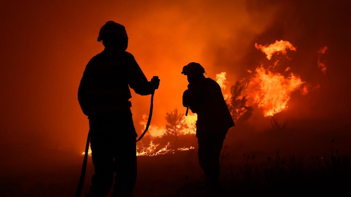 CCOO del Hábitat del País Valenciá denuncia la arbitrariedad y las irregularidades en los procesos de movilidad funcional y selección de personal interino convocados por la SGISE